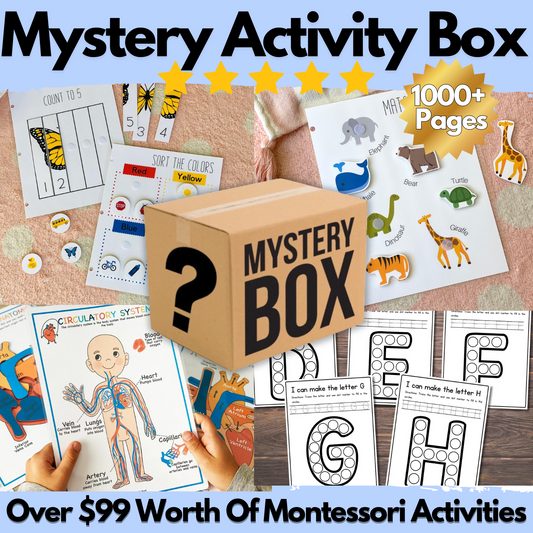 Mystery Activity Box (One Time Offer)