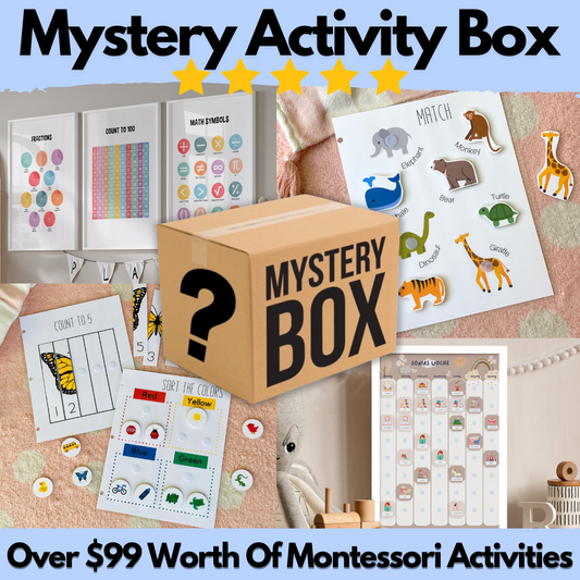 Mystery Activity Box (One Time Offer)