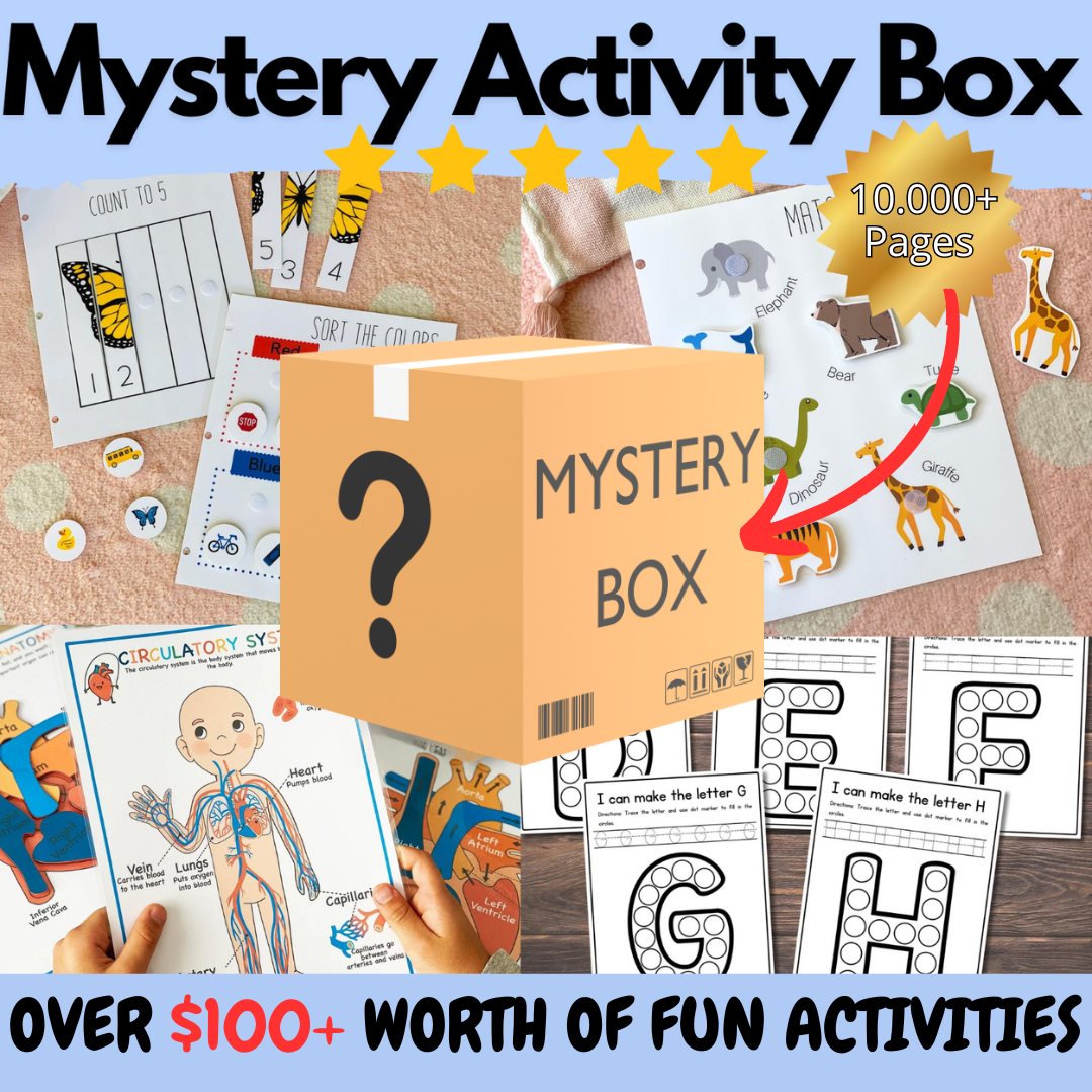 Mystery Activity Box (One Time Offer)